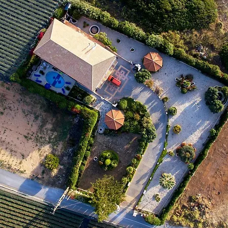 Antikleia * 헐소니소스